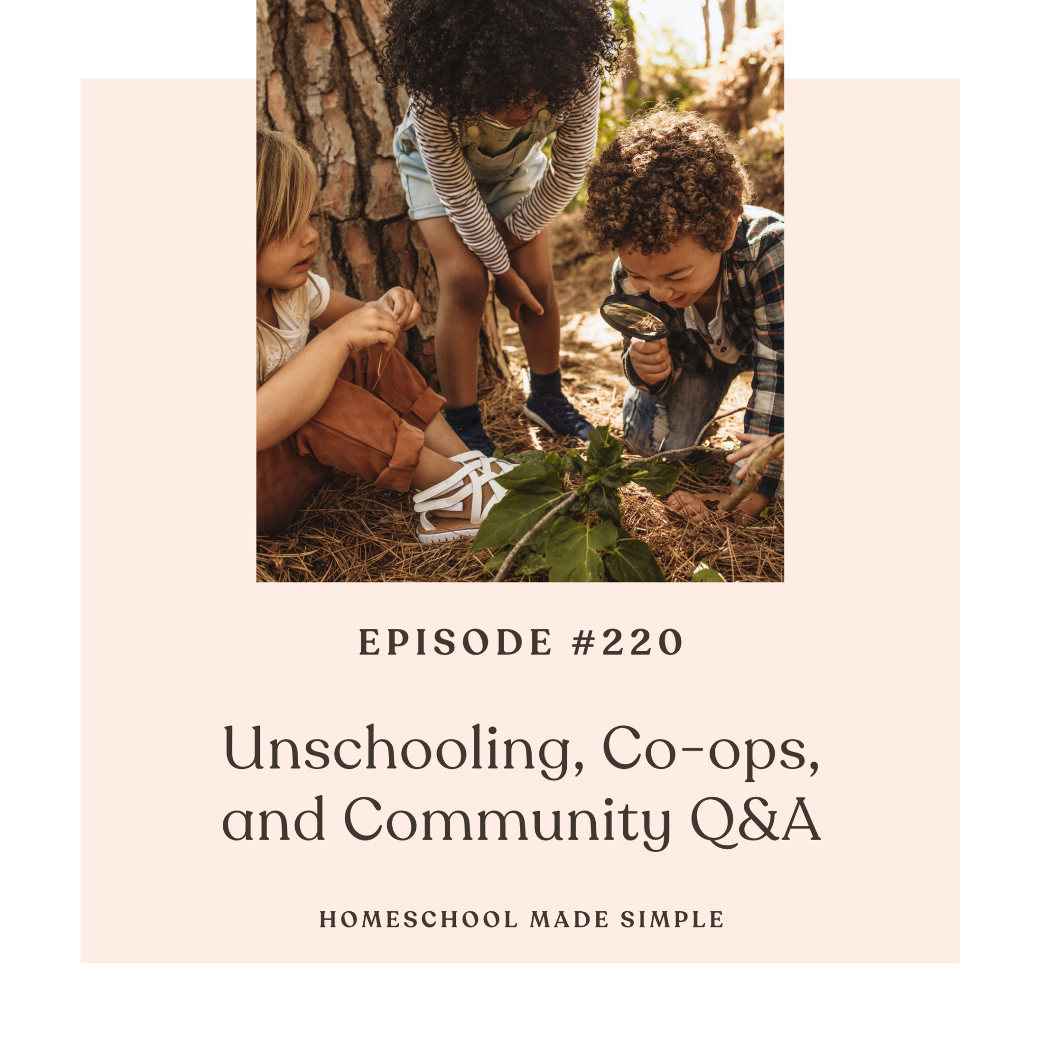 Unschooling, Co-ops, and Community Q&A | Episode 220 - Homeschool Made ...