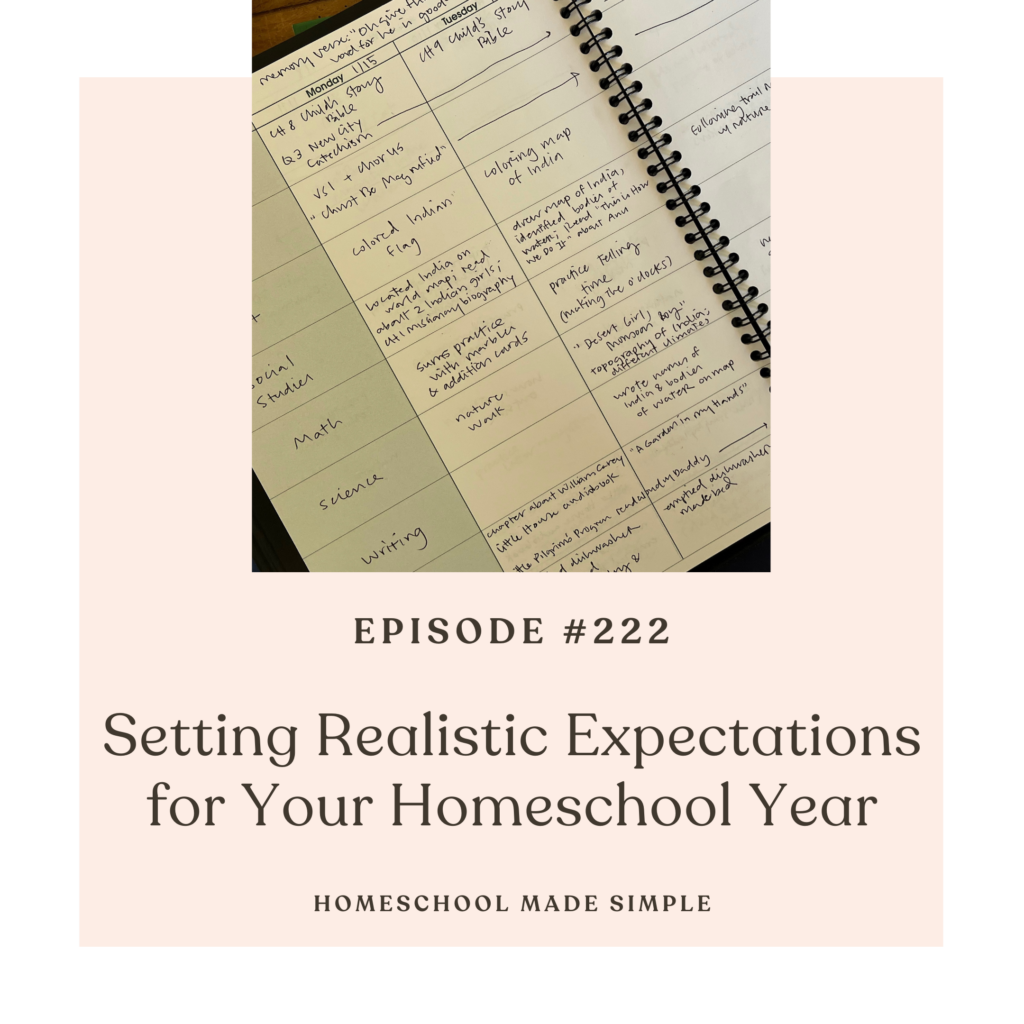 setting realistic expectations for your homeschool year
